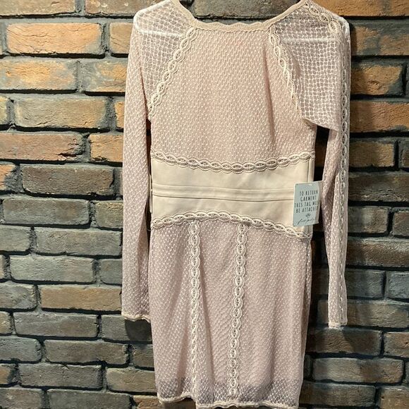 Women’s Free People Mixed Media Lace and Mesh Bodycon Dress Size Small Pink NWT - Picture 8 of 9